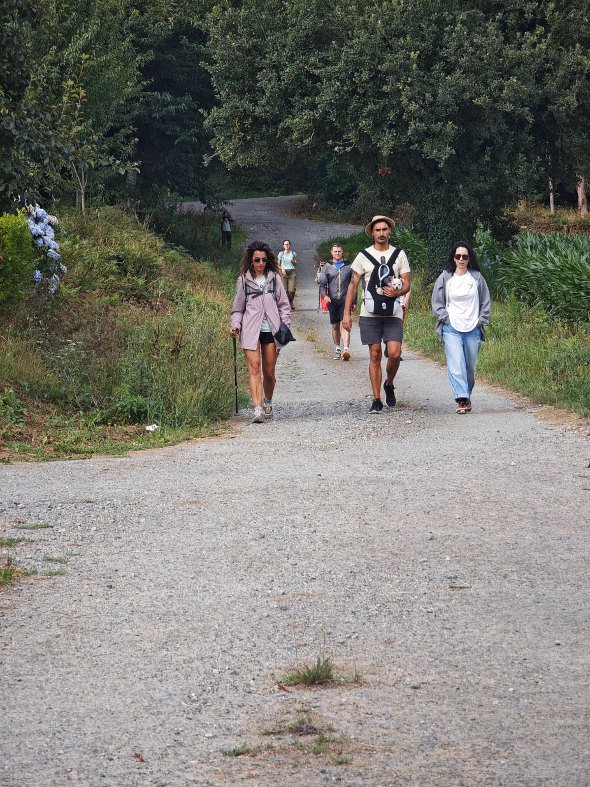 Roteiro polo Camiño Rexio — foto 04