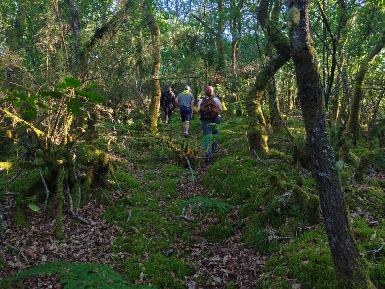 I Bioblitz dos Lagos de Teixeiro — foto 1