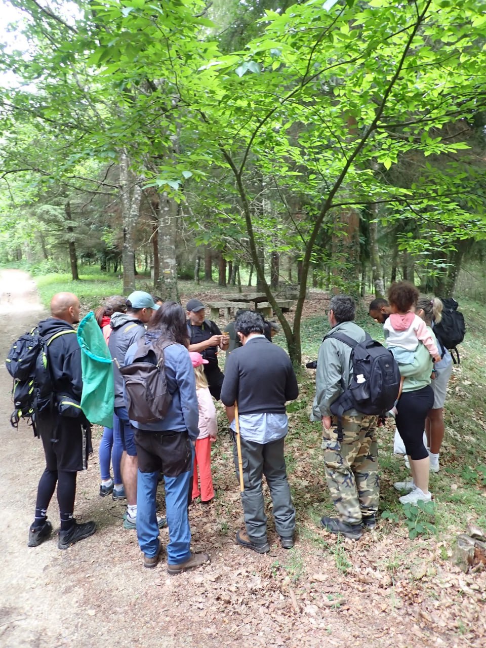 I Bioblitz dos Lagos de Teixeiro — foto 3