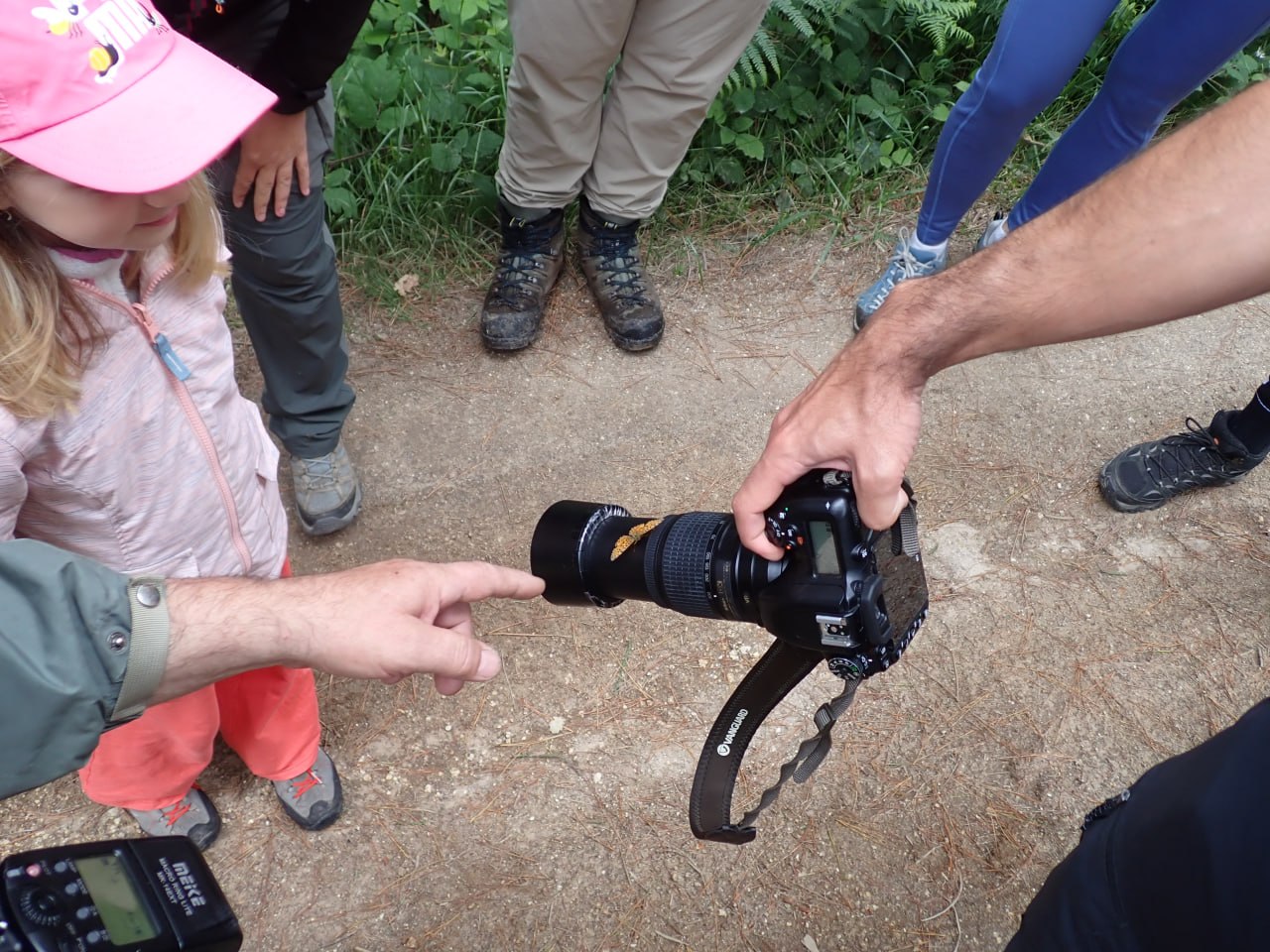 I Bioblitz dos Lagos de Teixeiro — foto 5