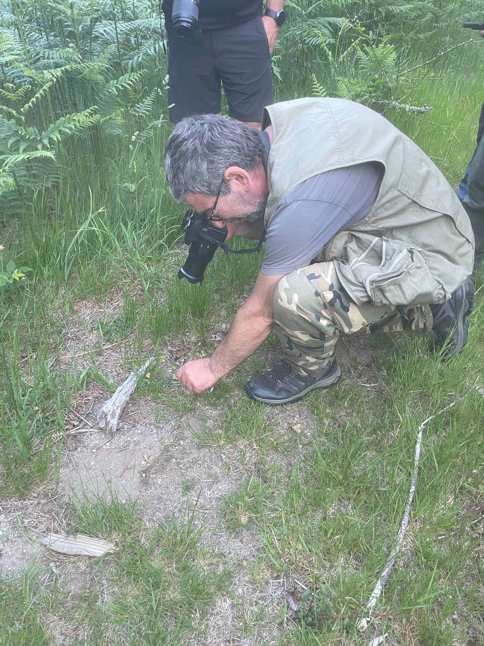 I Bioblitz dos Lagos de Teixeiro — foto 8