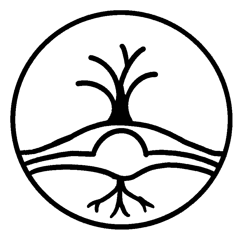 Raíces do Vento